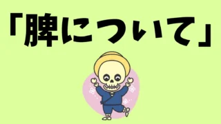 名張市で体を“内から支える力”を整える｜東洋医学が考える「脾（ひ）」の働き