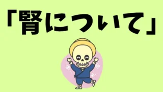 名張市で体を“根っこから支える力”を整える｜東洋医学が考える「腎（じん）」の働き